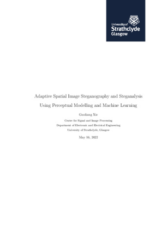 thesis in steganography